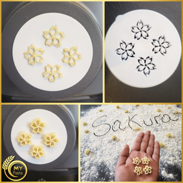 MY PASTA - Sakura - pasta mold for pasta maker - suitable for Philips Pasta Maker Avance - matrices Pastadisc homemade pasta - Image 4